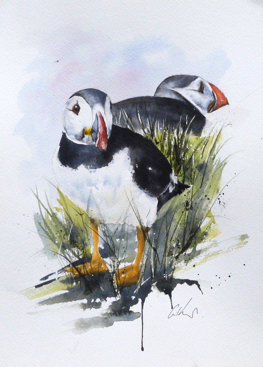 Puffins, Professional Giclée Print.
