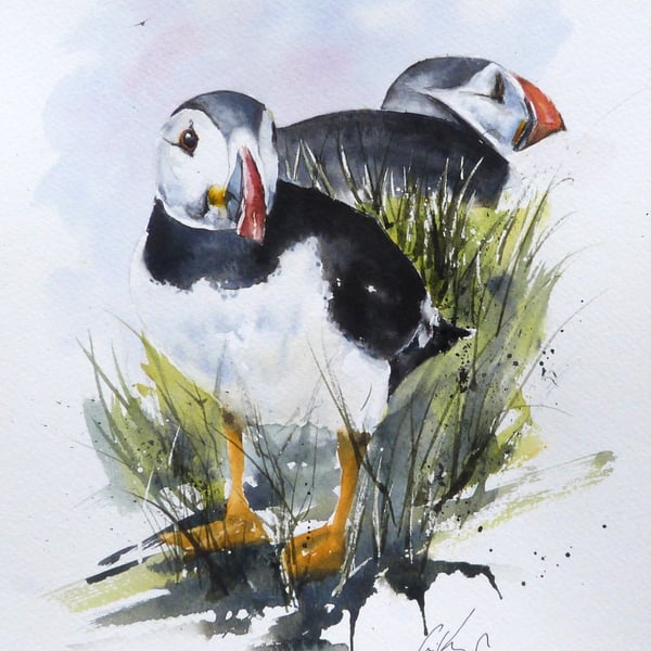 Puffins, Professional Giclée Print.
