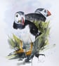 Puffins, Professional Giclée Print.