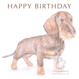 Hattie the Dachshund - Birthday Card