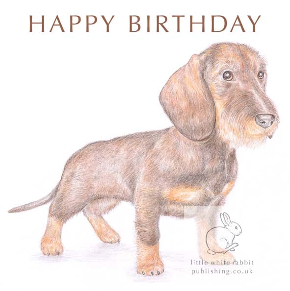 Hattie the Dachshund - Birthday Card