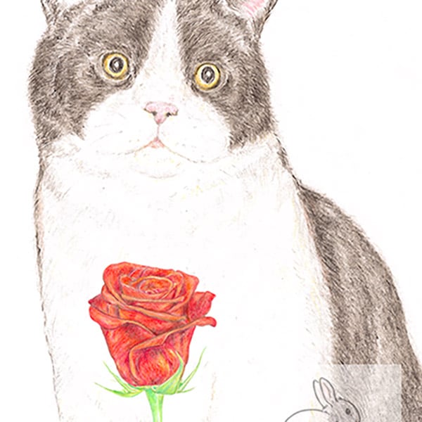 Archie the Cat - Valentine Card