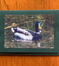 Handmade photo card of a male mallard duck 'Laughing Duck'