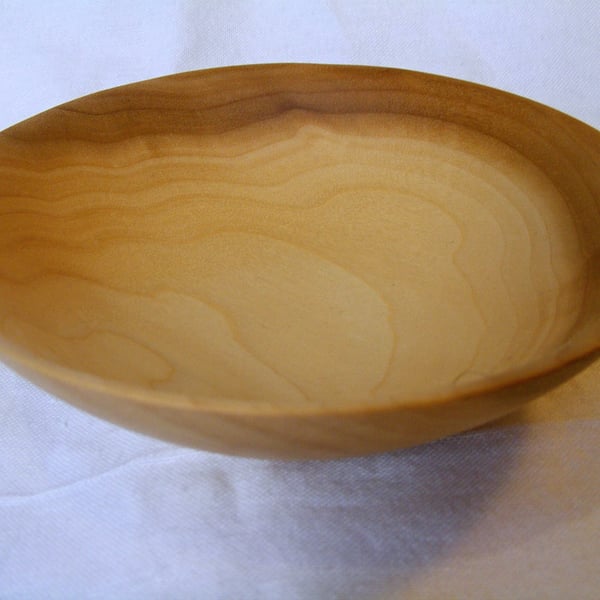 Small Tulipwood food bowl