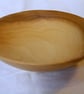 Small Tulipwood food bowl