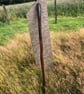Wiggly Sturdy Staff