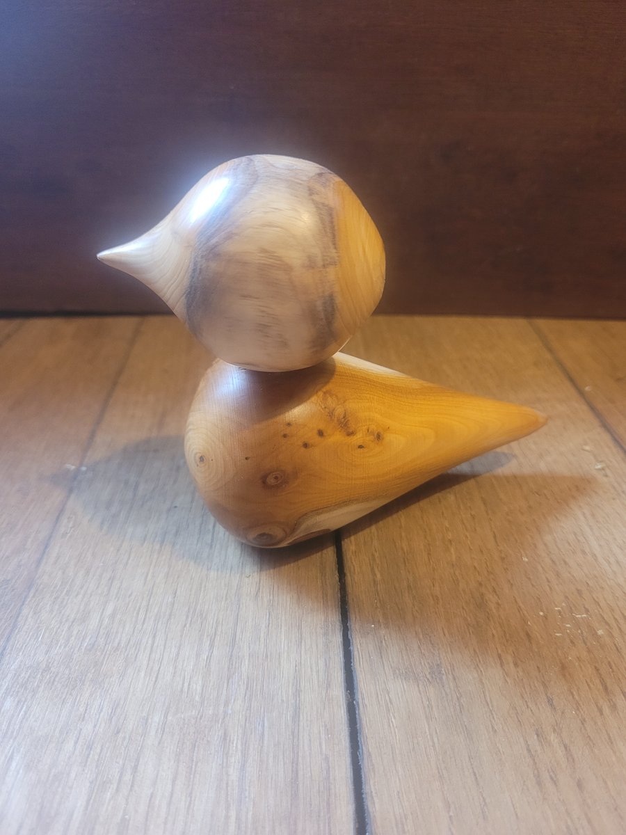 small yew duck , bird