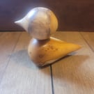 small yew duck , bird