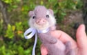 felted wool figures