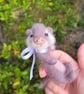 Baby Ota the Felted Otter, Handmade, Poseable, Movable Head, OOAK One-of-a-Kind