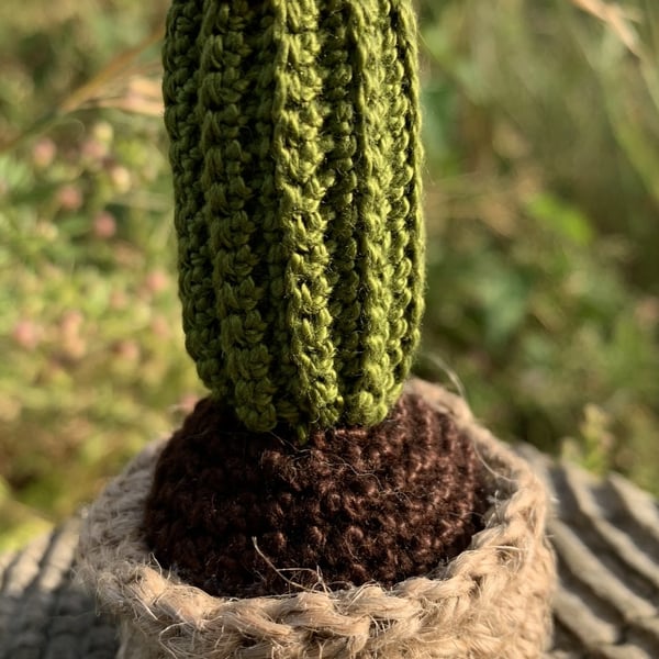 Mini Crochet Cactus