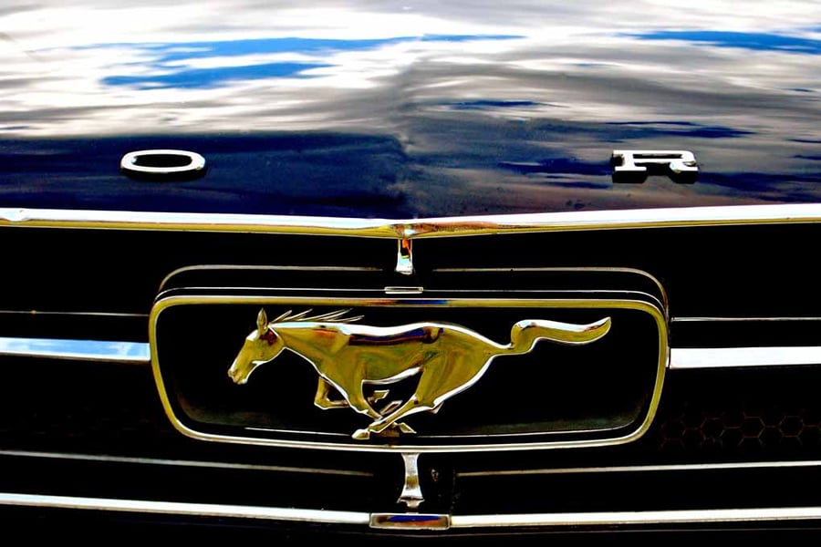 Ford Mustang Sports Car Photograph Print
