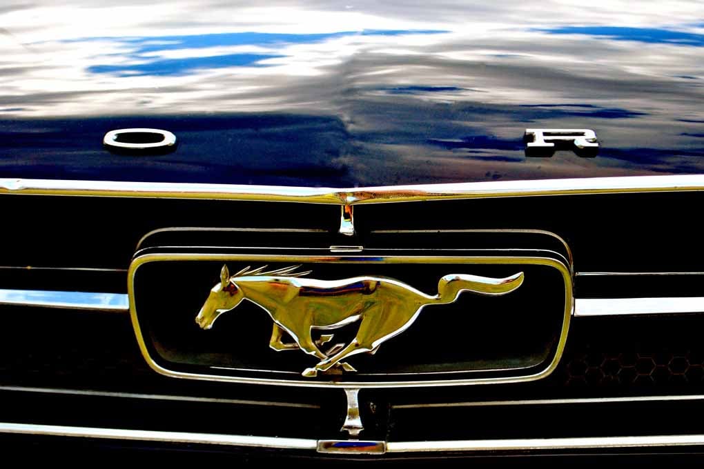 Ford Mustang Sports Car Photograph Print