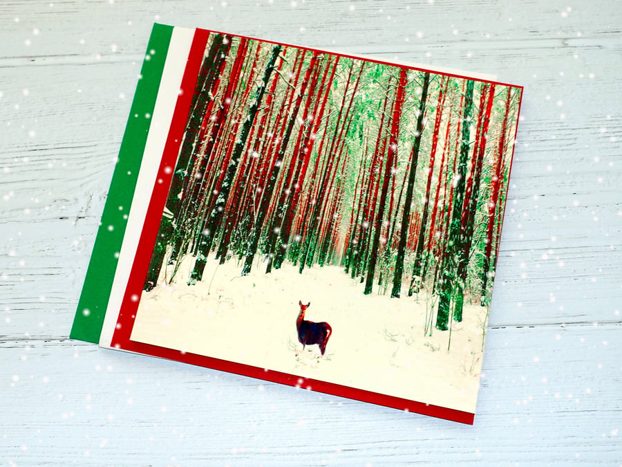Birthday, Greeting Card, Deer in Wintry Forest 