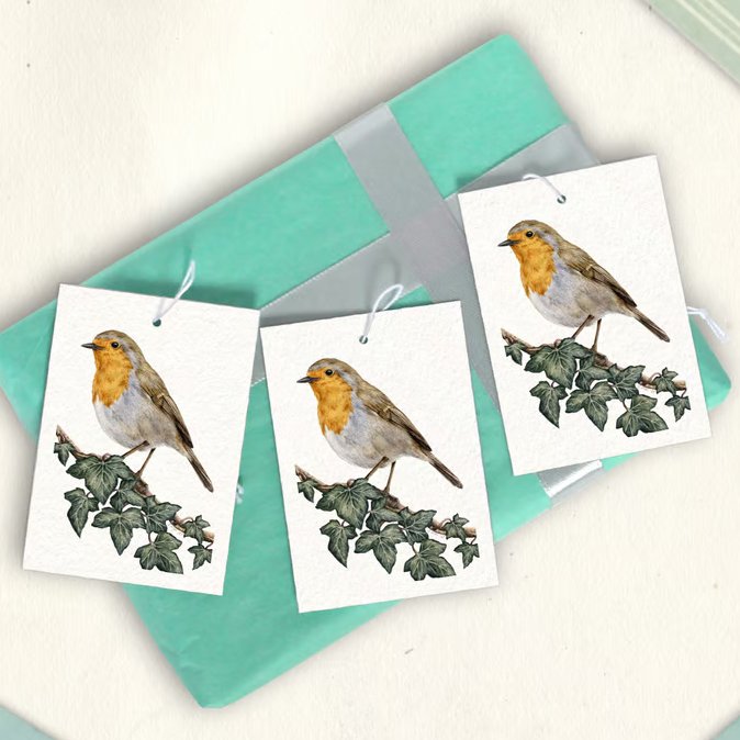 Robin Gift Tags - Set of 12 Hang Tags for Gifts and Presents