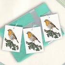 Robin Gift Tags - Set of 12 Hang Tags for Gifts and Presents