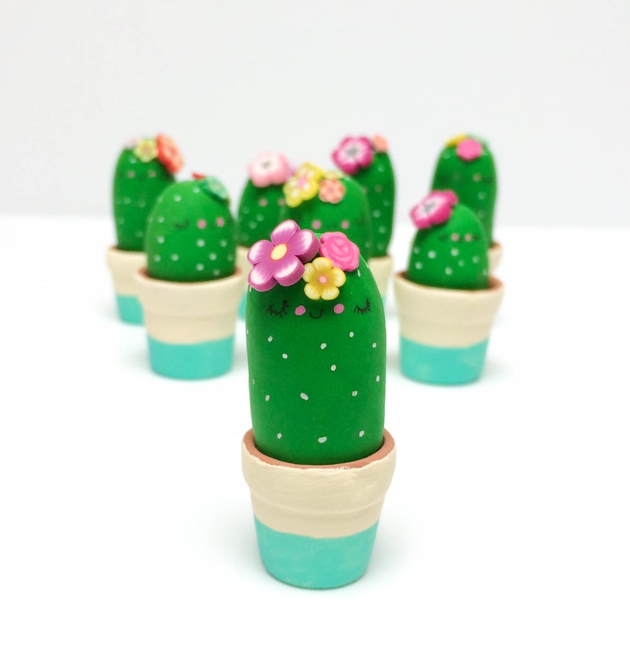 Plump Sleepy Desk Cacti