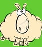 Sheep coaster, green background