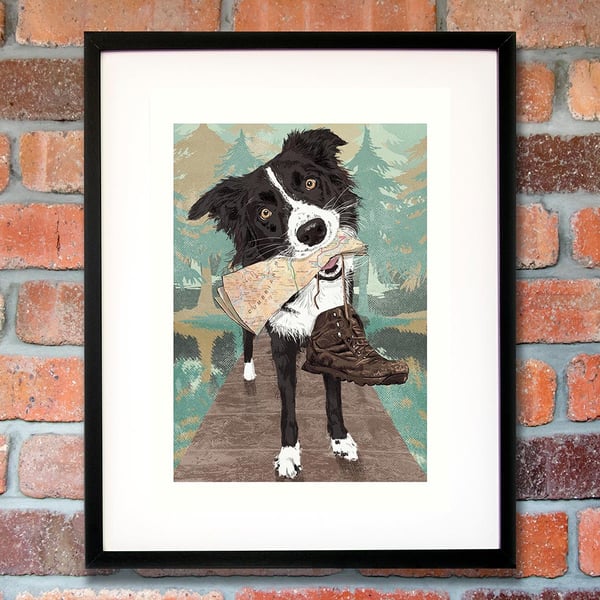 A4 Border collie listing for Joy