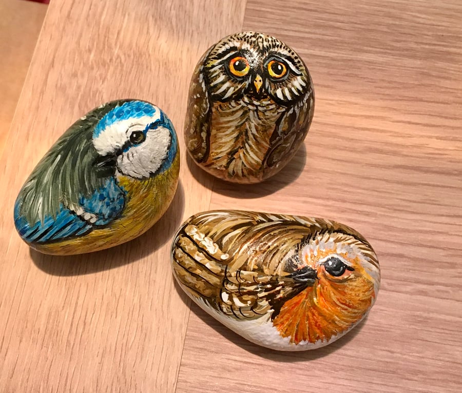 Bluetit robin owl bird hand painted rocks garden stone pet portrait art 