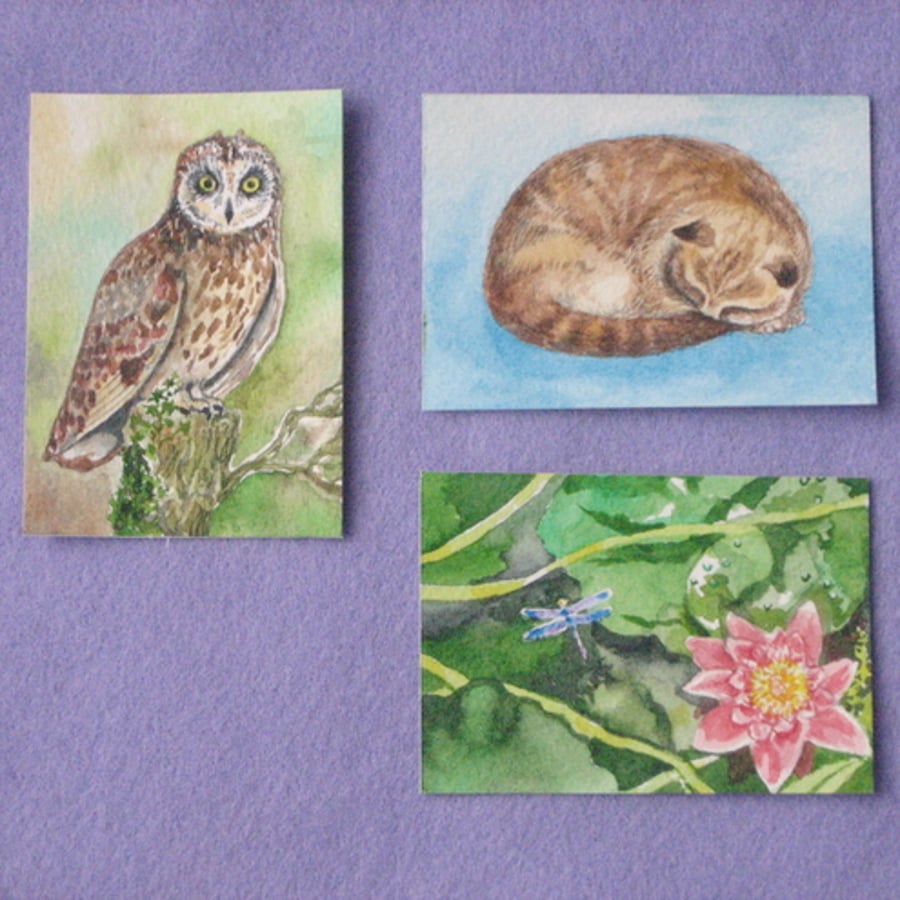 Lily pond original ACEO painting