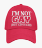 Funny Gay Cap -Im Not Gay But 20 is 20 Baseball Cap Style Hat Pride  Festival - Image 4
