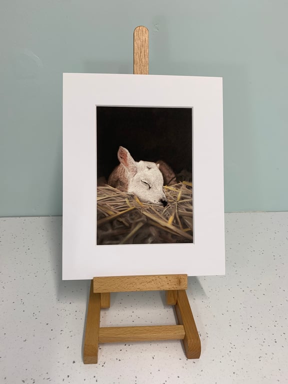 'Rest Little One', Lamb - 5x7 - signed open edition giclee print
