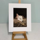 'Rest Little One', Lamb - 5x7 - signed open edition giclee print