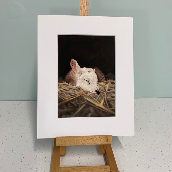 'Rest Little One', Lamb - 5x7 - signed open edition giclee print