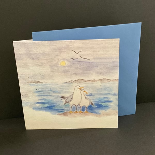 Seagulls