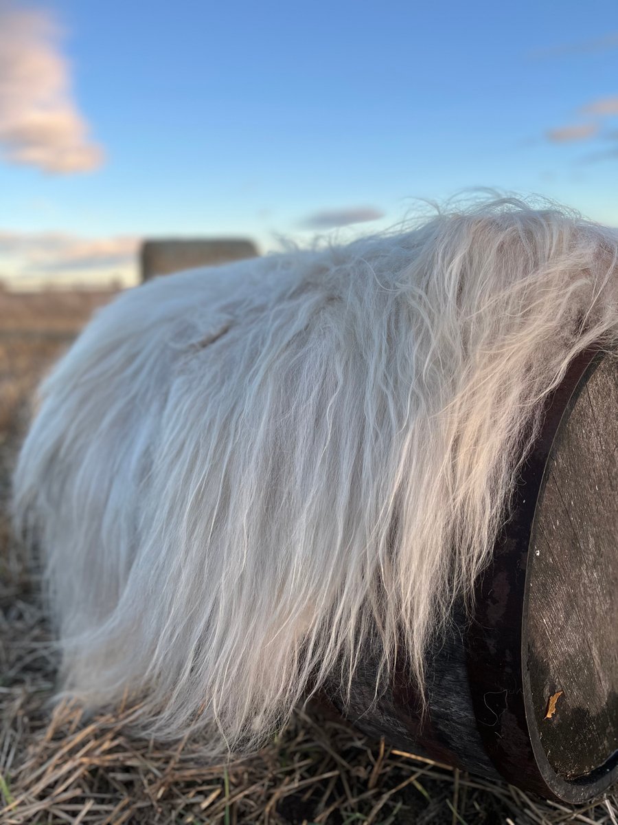 Wet Felted Icelandic Fleece rug