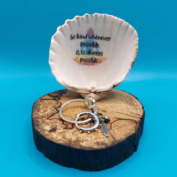 inspiring quote inside seashell on beautiful sp... - Folksy