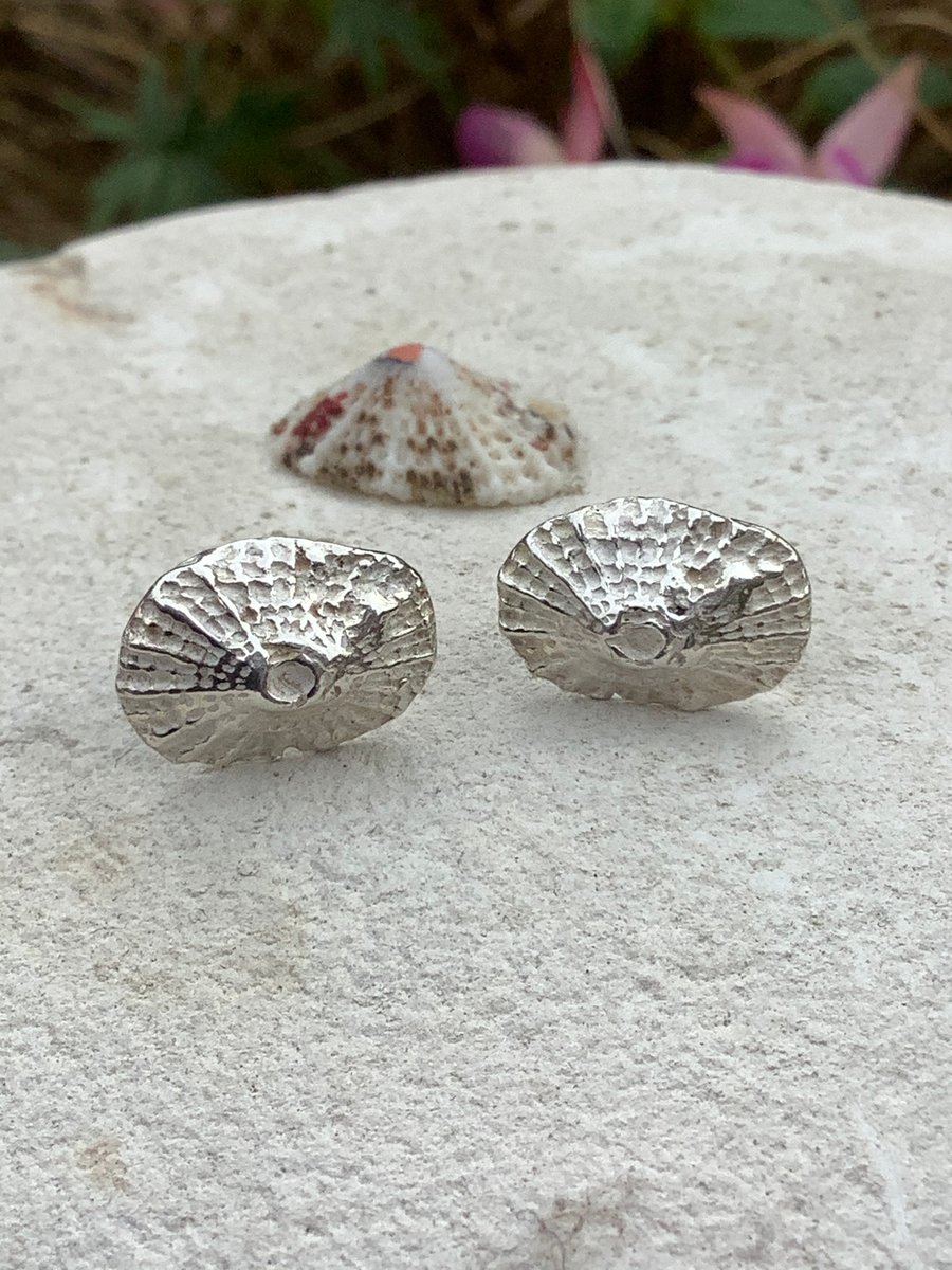 Pure silver shell earrings