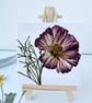 Real Pressed Flower Mini Canvas on Wooden Easel, Real Cosmos, Mini Art - Image 7