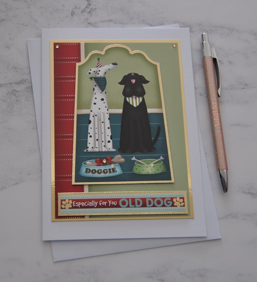 Dog Birthday Card Especially For You Old Dog 3D Luxury Handmade Card