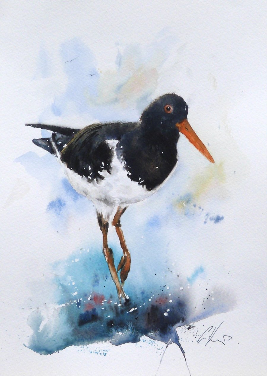 Oystercatcher, Professional Giclée Print.