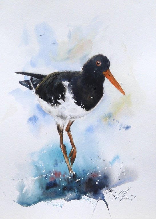 Oystercatcher, Professional Giclée Print.