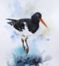 Oystercatcher, Professional Giclée Print. - Image 1
