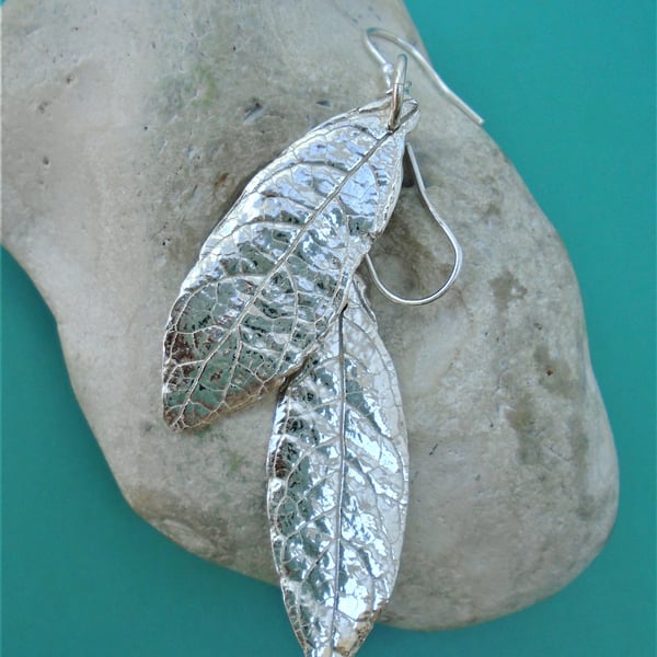 Fine silver leaf earrings