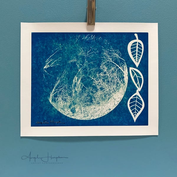 Blue Cyanotype Print on Canvas - Tree in the Moon with Leaves