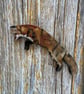 Pouncing Fox Wooden Keyring  - Image 8