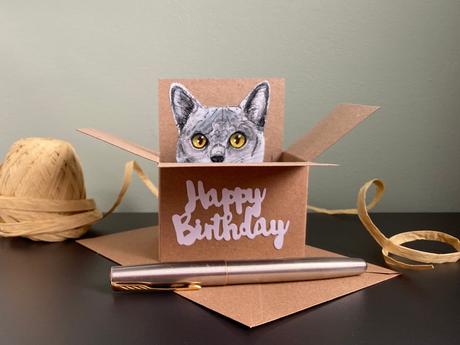 Cat Birthday Card - Blue Grey Cat box card. Birthday gift card for cat lover
