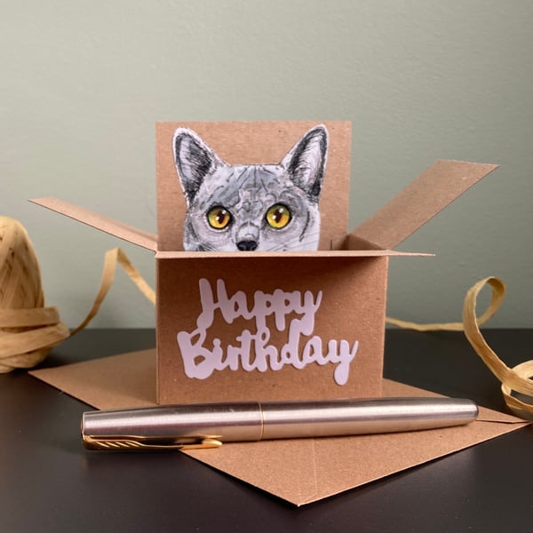 Cat Birthday Card - Blue Grey Cat box card. Birthday gift card for cat lover