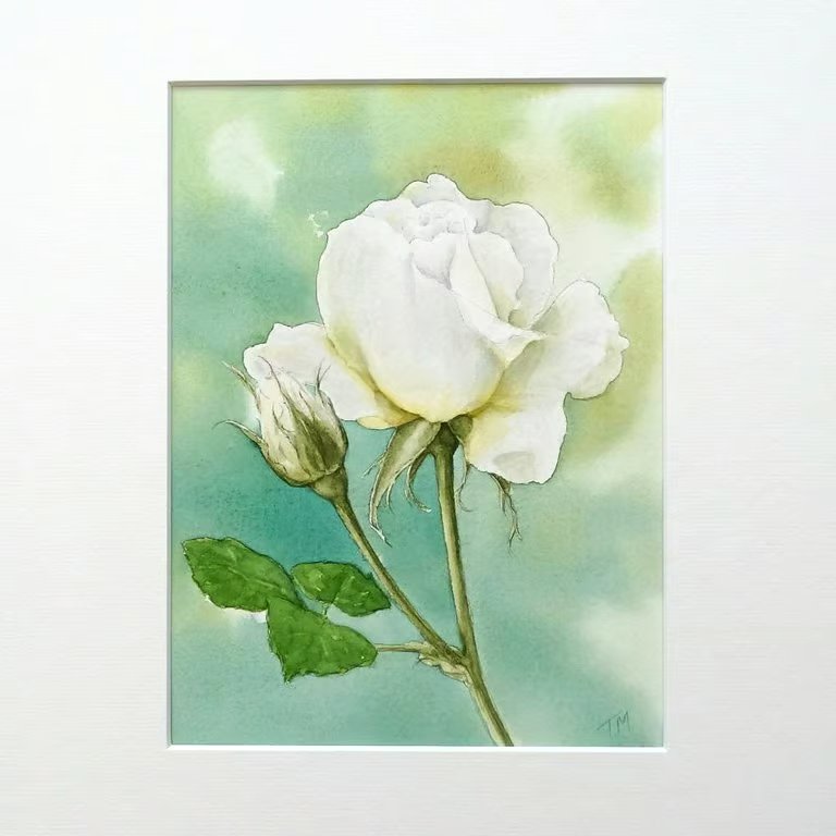Floral Rose Watercolour Painting Art  'Vanessa Bell'