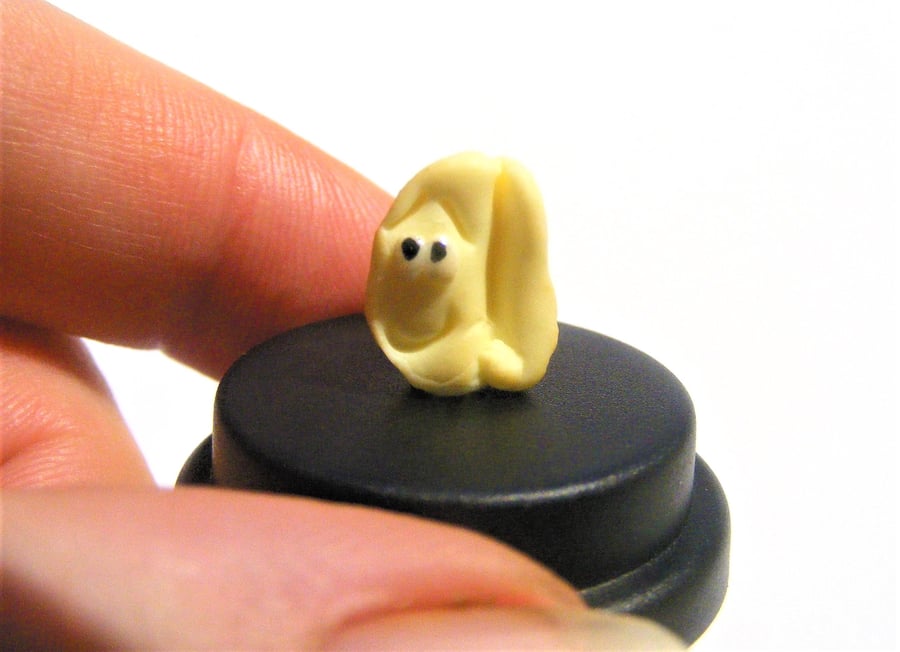 Pet Peanut, Pea nut pet, Vegan gift, Vegetarian gift, Salted nut, monkey nut