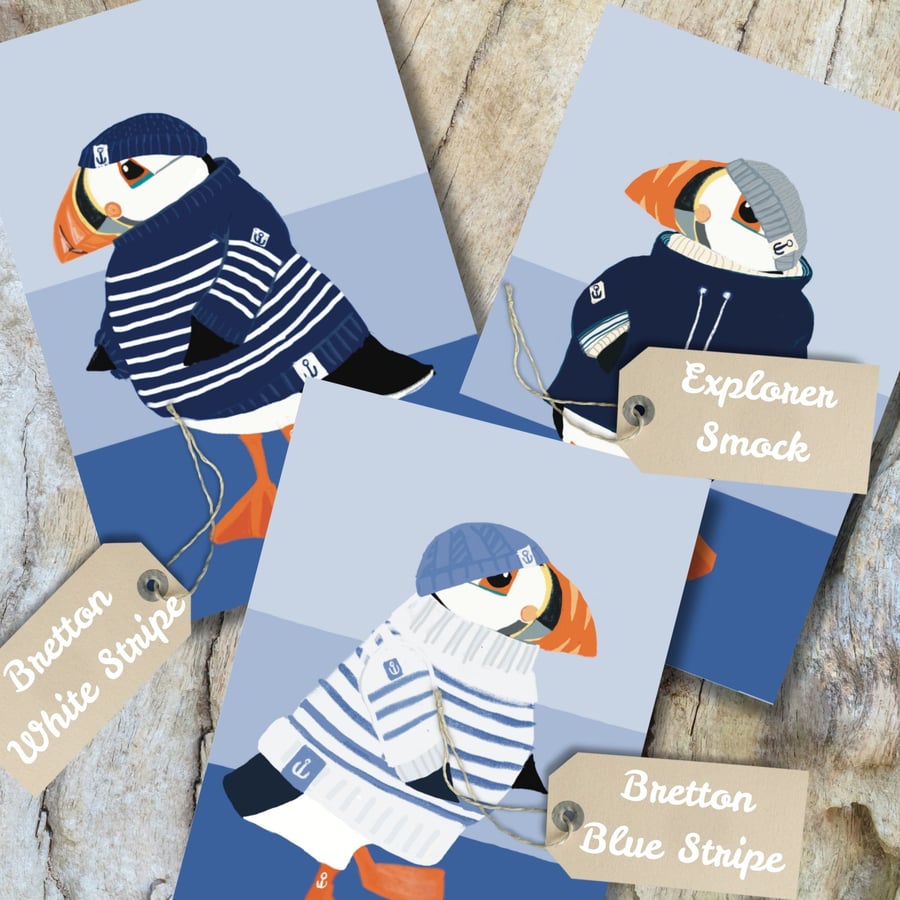 Coastal Puffin card set Puffins in Bretton Stripes