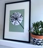 Botanical art, Garden Allium, seed head, shadow painting, handmade art, green - Image 3