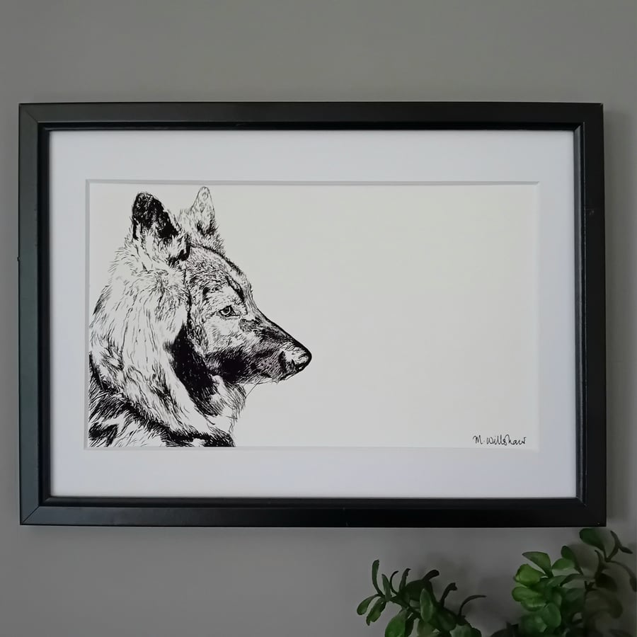 German Shepherd Dog Print - long haired pet print GSD alsation