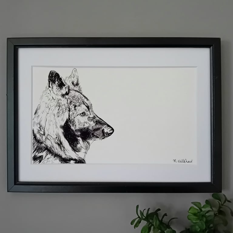 German Shepherd Dog Print - long haired pet print GSD alsation