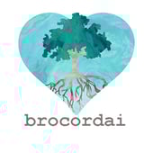 Brocordai